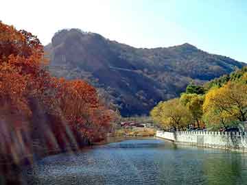 管家婆黑白马报图库，泰州黄页